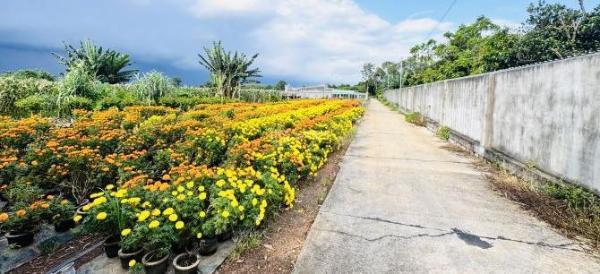 Cần bán Đất nền riêng lẻ 2000m²