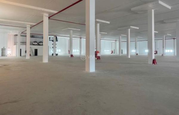 Cần cho thuê Nhà xưởng, nhà kho 3000m²
