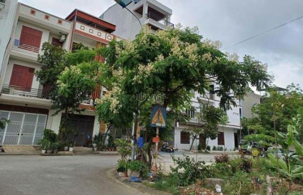 Chủ cần bán Đất nền riêng lẻ 75m²