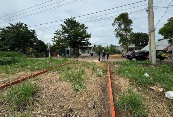 Sang lại vườn mít (10x60=600m2) thổ cư mt nhựa ngay chợ dân đông giá 🏡 650 triệu