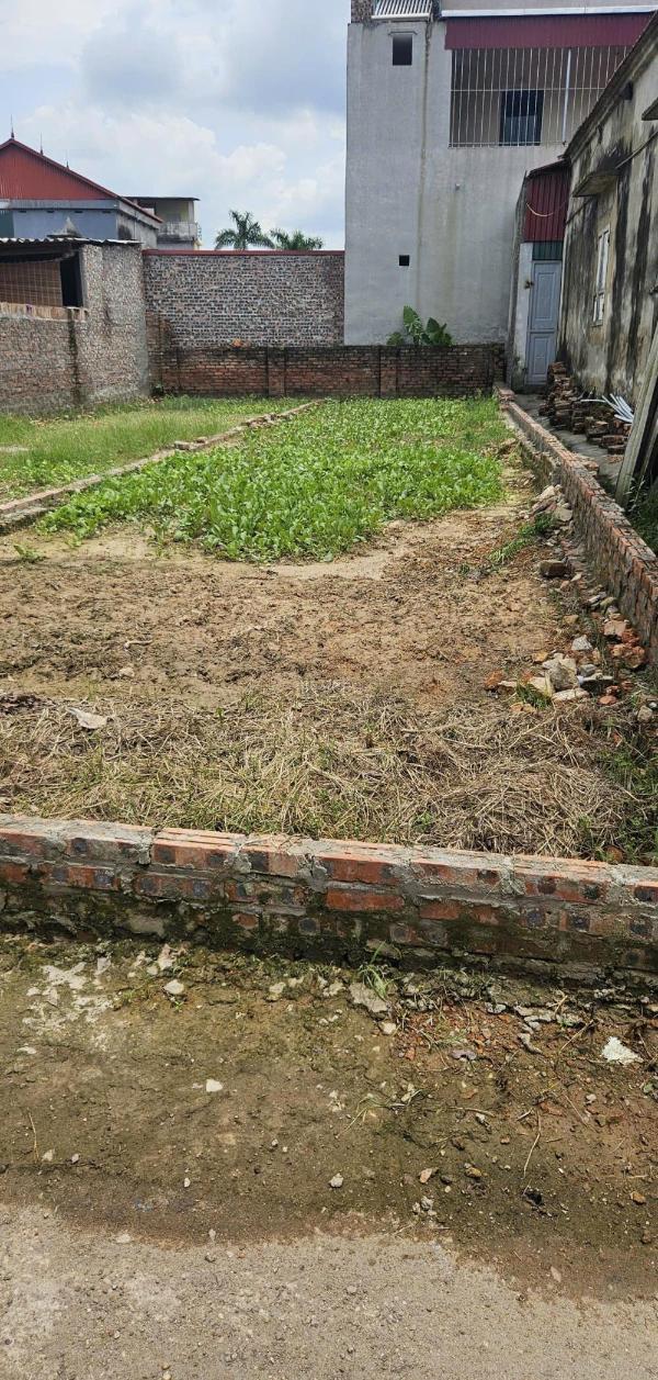 🎉🎉 lô 61 m2 hiền lương, 🏠 hiền ninh nhỏ tiền, ô tô đỗ cửa vài bước chân