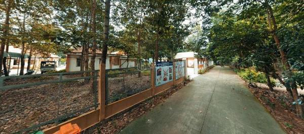 Bán lô đất 173m2 đối diện chợ ☘ an thái đi vào 200m, sát trạm y tế đường nhựa có t