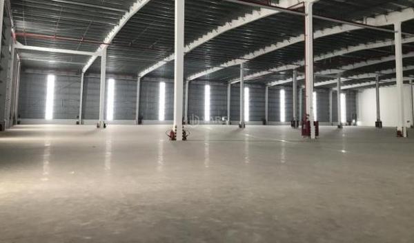 Chủ cho thuê Nhà xưởng, nhà kho 6000m²