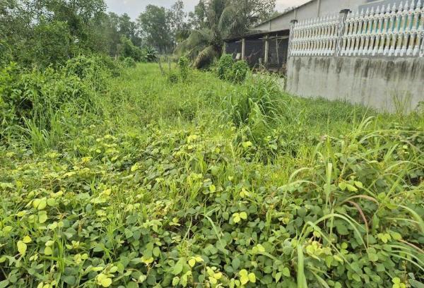 Chủ cần bán Đất nền riêng lẻ 1245m²