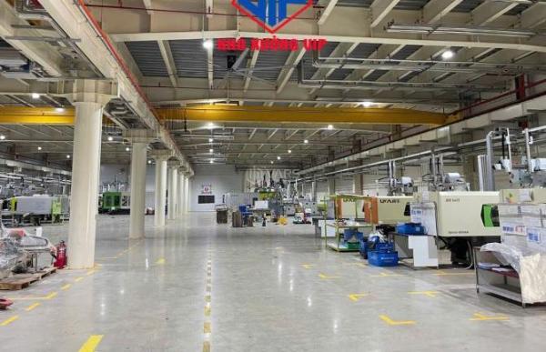 CHO THUÊ MẶT BẰNG SHOWROOM v NHÀ XƯỞNG CƠ KHÍ 🏚️ NẶNG – MẶT TIỀN QUỐC LỘ 1A, BẾN LỨC, LONG AN