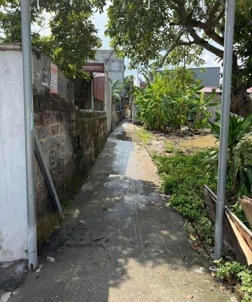 Chủ cần bán Đất nền riêng lẻ 53m²