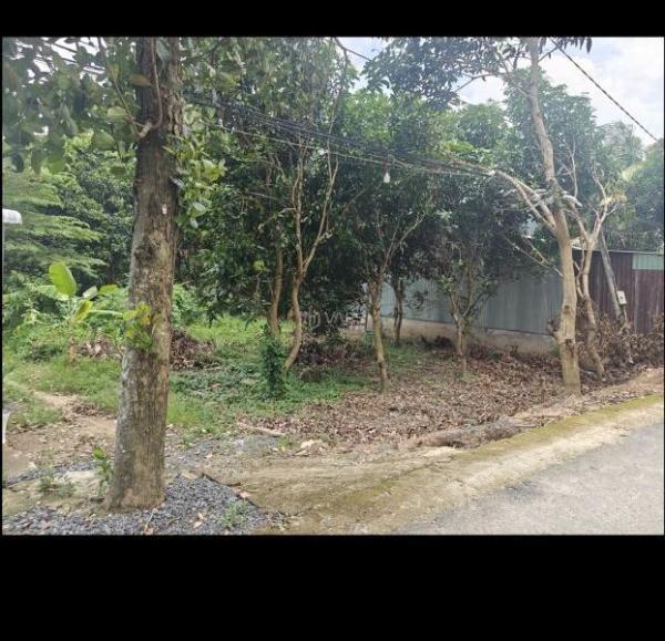 Bán đất khóm thanh tiến 🏣 , Phường Mỹ trà, Tĩnh Đồng Tháp
