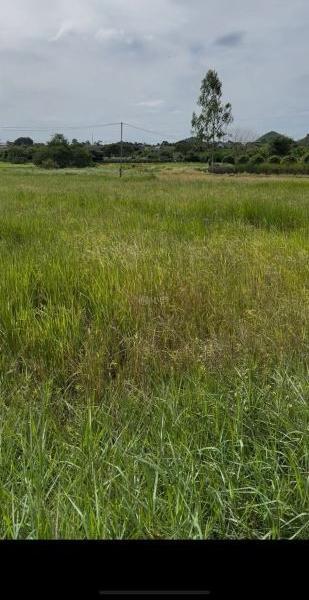 Chủ cần bán Khác 1481m²
