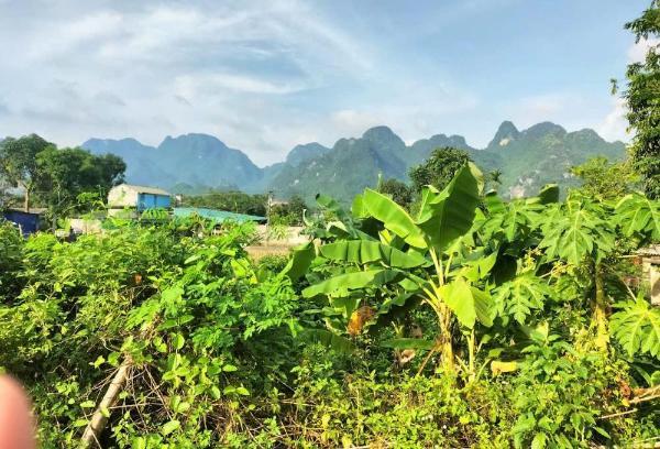 1260m ngay trung tâm thị trấn giá rẻ chỉ 3tr/m chính chủ bán gấp kim 🏠 bôi hòa bìn