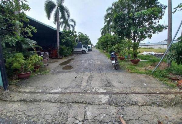 ⭐️⭐️ 1.1ha đất 🏢 mặt tiền shr, nở hậu phạm thị giây hóc môn
