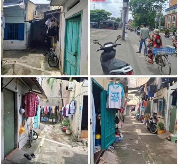 Chủ cần bán Trang trại, nhà vườn 334m²