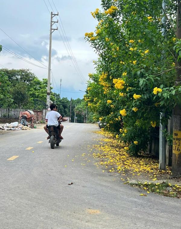 Bán Đất nền riêng lẻ 100m²