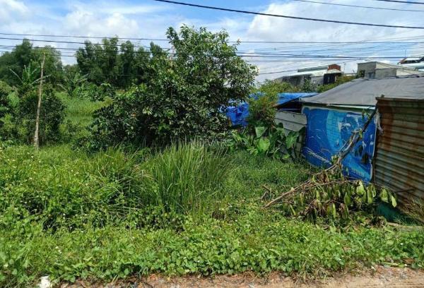 Bán Trang trại, nhà vườn 660m²