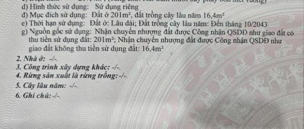 SỞ HỮU LÔ ĐẤT NGAY TRUNG TÂM XÃ LỘC AN, ĐẤT ĐỎ CHỈ CÁCH BIỂN 🏘️ 2P DI CHUYỂN