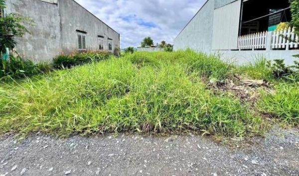 CẦN BÁN NỀN ĐẤT ĐẸP 🏚️ ẤP 2 – ĐỨC HÒA ĐÔNG, DT 330M2 GIÁ 1 tỷ 950 Tr ,SHR CÔNG CHỨNG NGAY