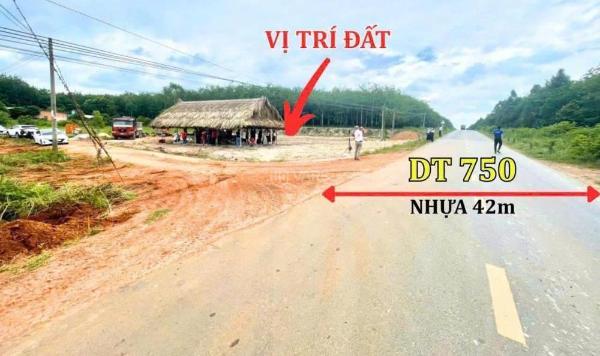 Cơ hội sở hữu lô đất mặt tiền đường 🏢 dt750, dầu tiếng - chỉ với 4,9tr/m2