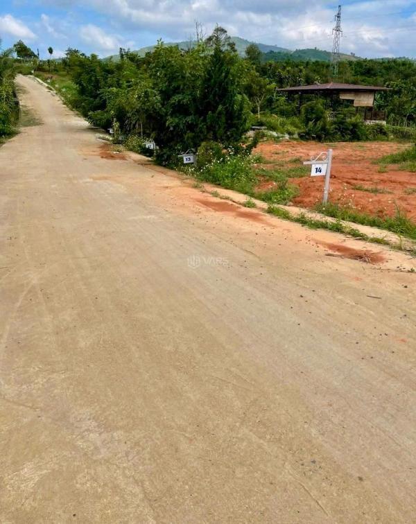 Em có đất thổ 🔥 cư, kế bên quốc lộ 55 ở bảo lộc có sẵn vườn sầu thái và bơ