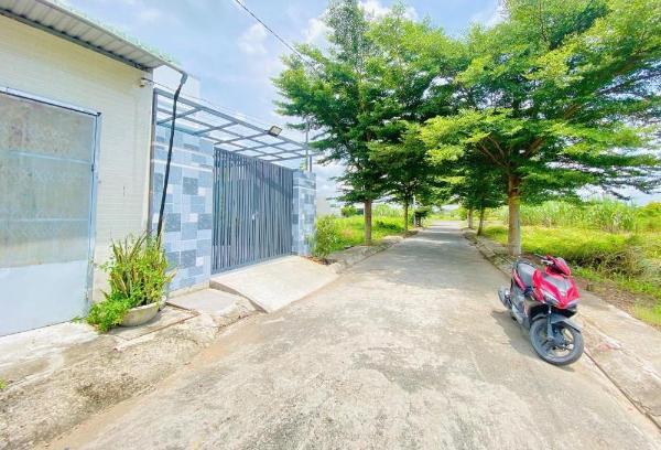 Cần bán Đất nền riêng lẻ 125m²