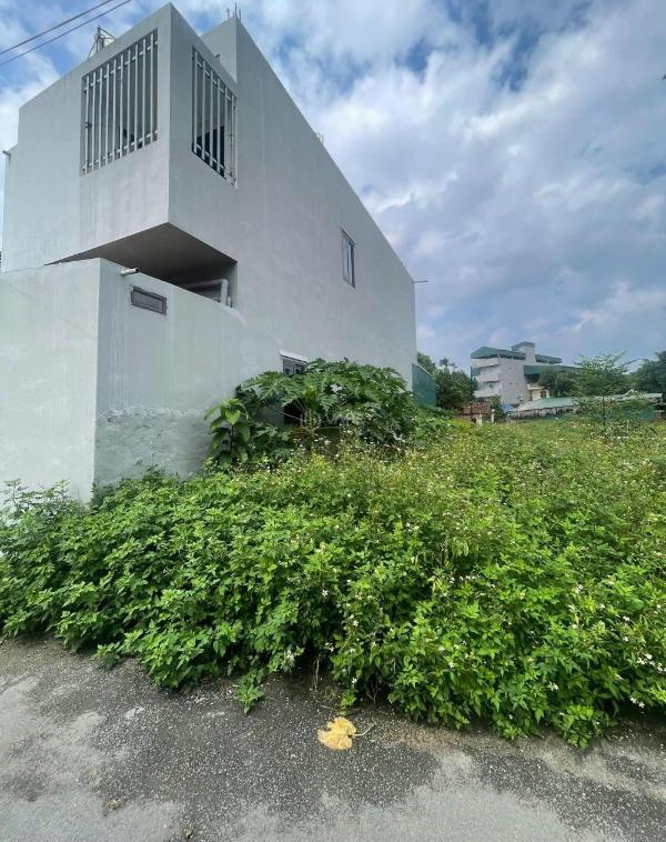 Bán đất 66,2m² tại 🏡 thôn 5, tân xã. đường thông. sổ đỏ pháp lý rõ ràng