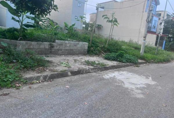 Bán đất khu tđc phú 🏘️ cát thạch hoà. dt 100m2. sổ đỏ pháp lý rõ ràng