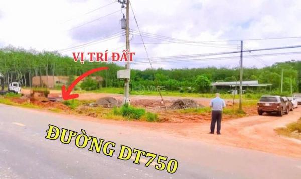 Chủ cần bán Đất nền riêng lẻ 250m²