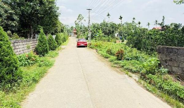 Bán Đất nền riêng lẻ 121m²