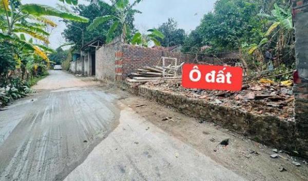 Bán đất xóm Chũng, Quất Lưu, Bình Xuyên, Vĩnh Phúc diện tích 120m2 xe tải vào 👍 tận nơi.