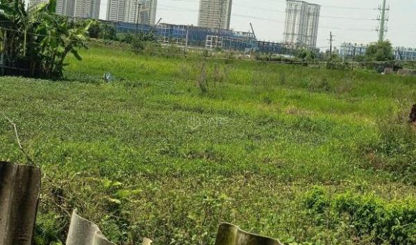 Bán Nhà mặt phố 45m²