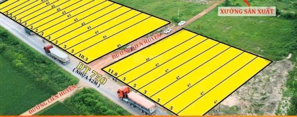 Cần bán Đất nền riêng lẻ 250m²