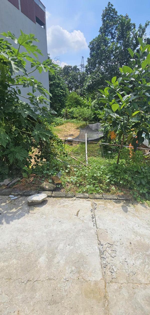 ️ ️ bán 115m2 đất ngọc trì kim hoa vinfast vf3 đầu tư cực 🔥 đỉnh gần kcn