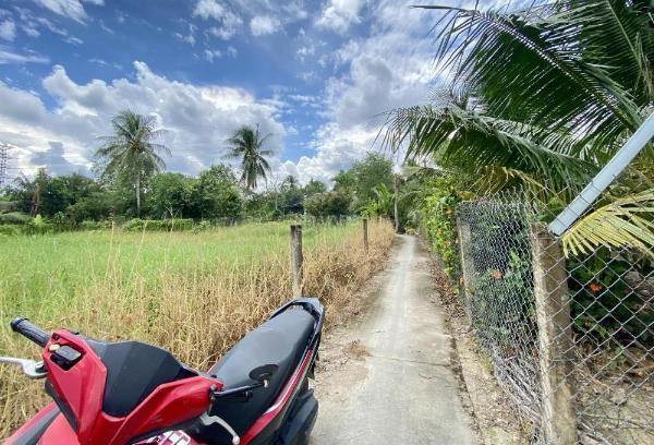 Bán đất gần đường trần văn ngàn, xã hướng thọ phú, tân an long an, 🔥 giá 500 tr