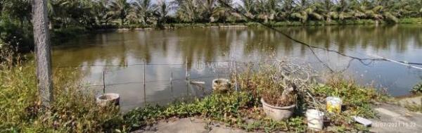 Chủ cần bán Đất nền riêng lẻ 5000m²