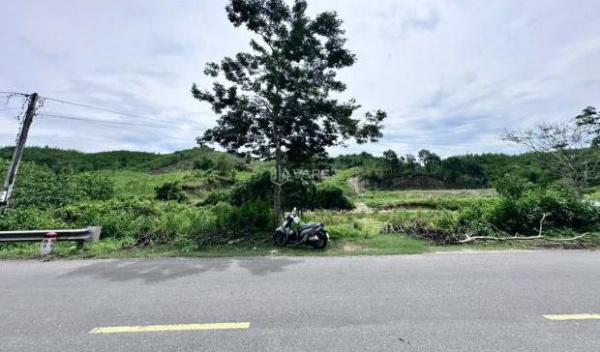 BÁN ĐẤT MẶT TIỀN TỈNH LỘ 🆘 2, THỊ TRẤN KHÁNH VĨNH - KHÁNH HÒA. HỖ TRỢ XEM ĐẤT : 09359*****