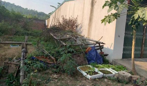 Bán Đất nền riêng lẻ 100m²