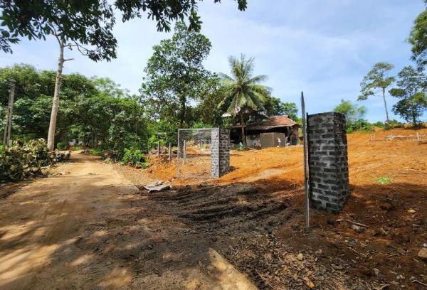 Bán Đất nền riêng lẻ 1000m²