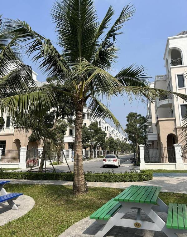 🌳 bán nhà biệt thự lô góc cầu 🔥 bươu, thanh liệt hà nội 🌳