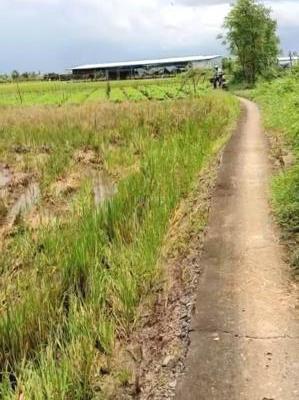 B.á.n 2,1 🏘️ công đất cây giá chỉ 800tr tại Bình Ân, Gò Công Đông, Tiền Giang cũ