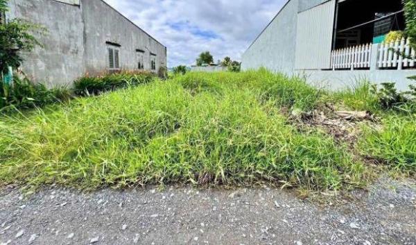 BÁN ĐẤT ẤP 1 – ĐỨC HÒA ĐÔNG, 🏚️ VỊ TRÍ ĐẸP XÂY TRỌ – GẦN CÔNG TY ATAD