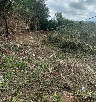 Cần bán Đất nền riêng lẻ 213m²