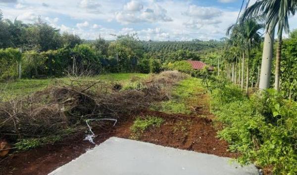 Đất Thổ Cư Đường 🏡 26A Đạt Lý 45X11M View Cực Đẹp 1,85 Tỷ Tl Quỳnh Anh