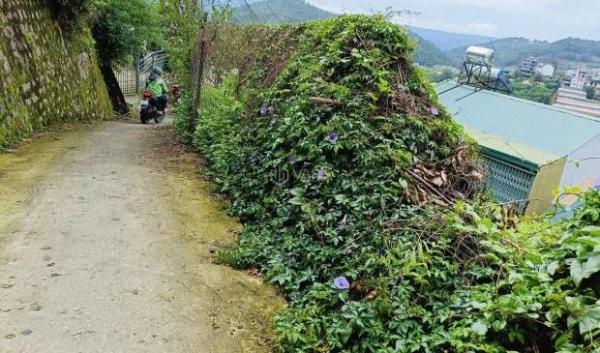 Chủ cần bán Đất nền riêng lẻ 396m²