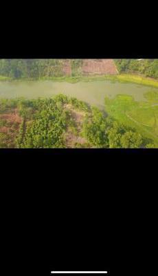 Cần bán Trang trại, nhà vườn 5600m²