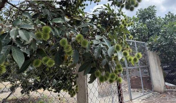 Cần bán Khác 1600m²