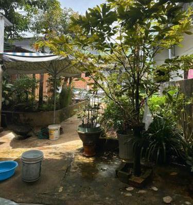 Bán 🏬 Nhà Vườn 276,4m2 full thổ cư (4m7 x 35m nở hậu 15m) Tại 22 Trần Văn Cao – Phường Tây