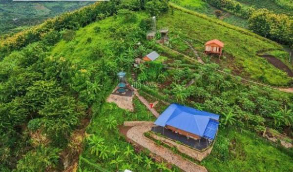 CHÍNH CHỦ CẦN BÁN 🔥 GẤP MẢNH ĐẤT VƯỜN ĐỒI GIÁ TỴ VIEW CỰC ĐẸP TẠI ĐỊQUÁN