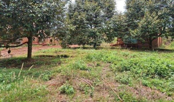 Chủ cần bán Khác 3000m²