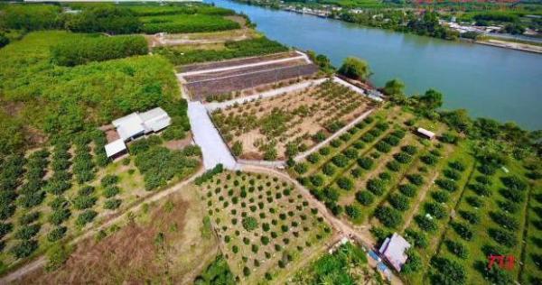 Bán 1608m2 đường Đa Lộc – 💥 Bình Lợi ( cũ) giá 7 tỷ đã setup sẵn bờ kè