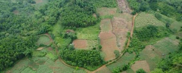 ĐẤT DÂN CẦN BÁN 50HA ĐẤT RSX F0 TẠI CAO PHONG , HÒA BÌNH CŨ ,NAY THUỘC PHÚ 🏘️ THỌ