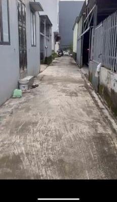 Bán 2 Lô 💥 Liền Kề Đẹp Tại Đằng Hải – Hải An, Ô Tô Vào Đất, Thích Hợp Xây Nhà Ở Hoặc Đầu Tư