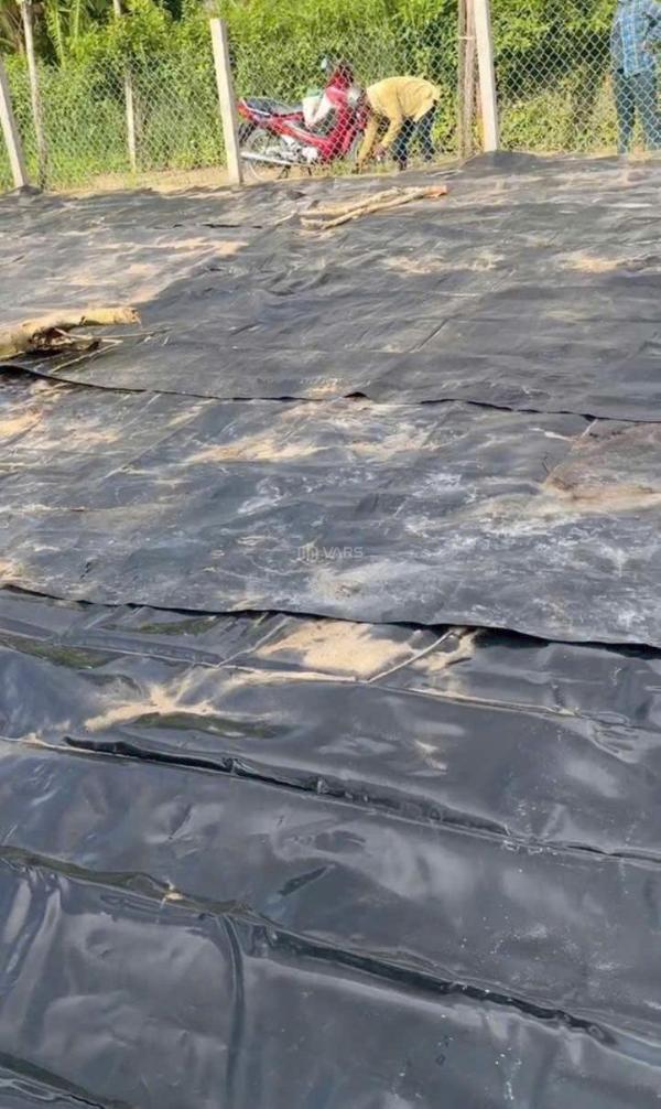 Bán Trang trại, nhà vườn 206m²